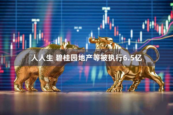 人人生 碧桂园地产等被执行6.5亿