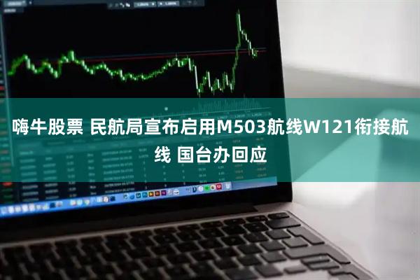嗨牛股票 民航局宣布启用M503航线W121衔接航线 国台办回应