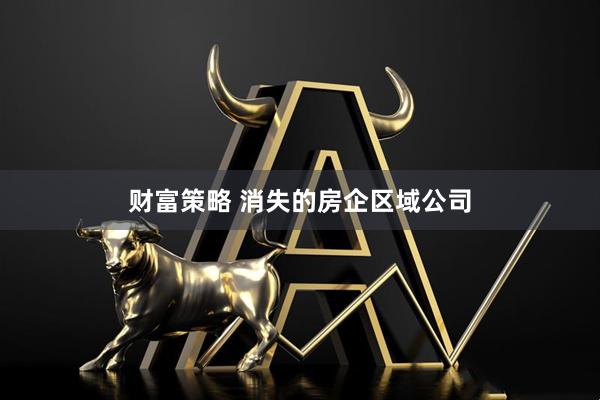财富策略 消失的房企区域公司