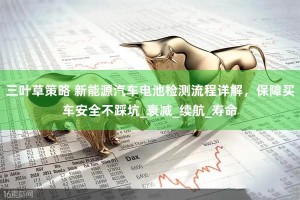 三叶草策略 新能源汽车电池检测流程详解，保障买车安全不踩坑_衰减_续航_寿命